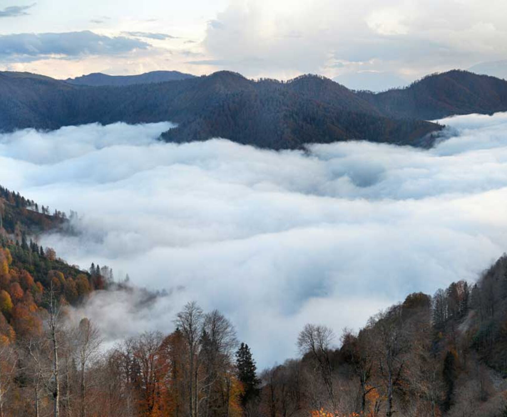UÇAKLI VAN KARS KARADENİZ BATUM  TURU