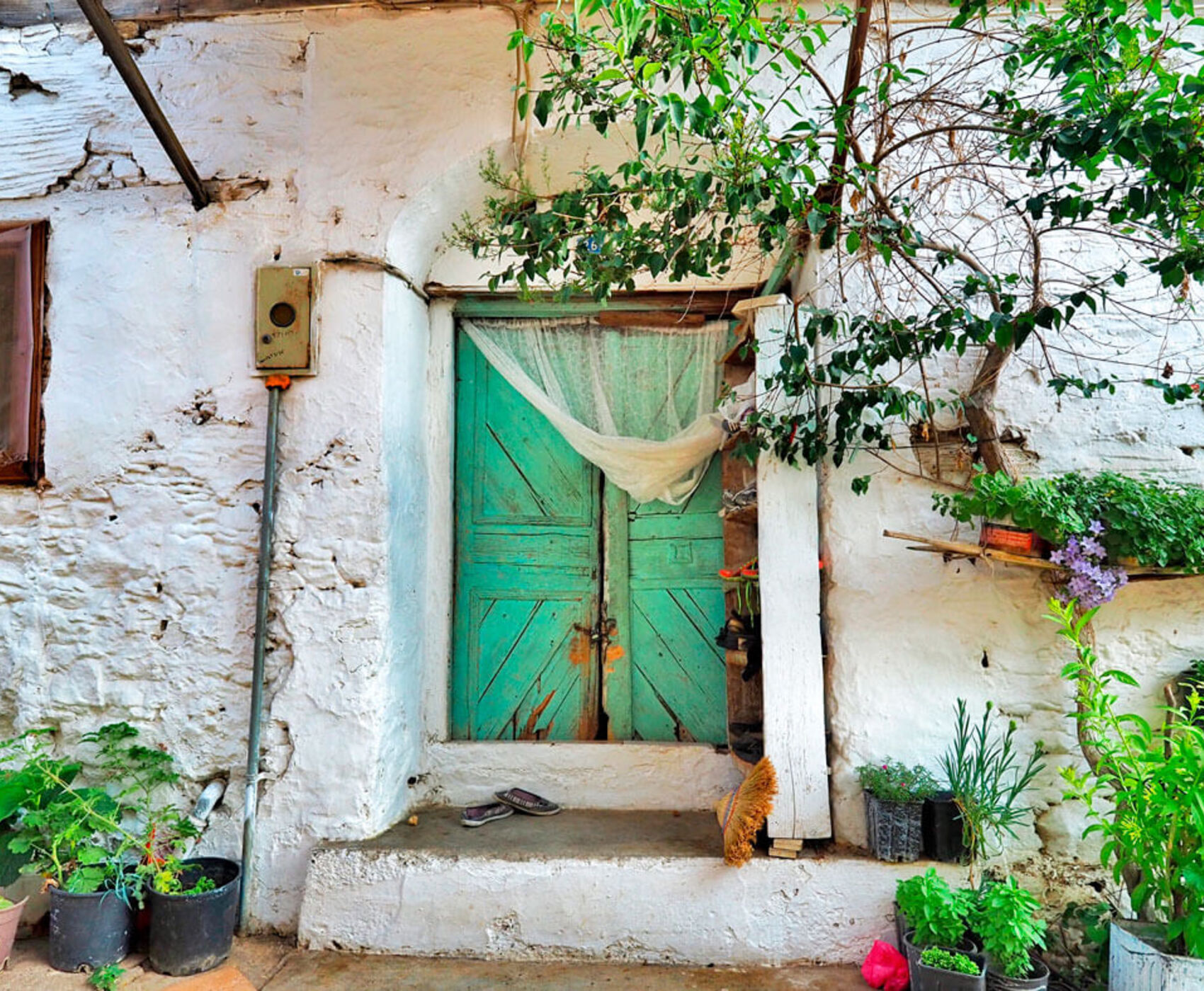 UÇAKLI BÜYÜK EGE İZMİR GÖKÇEADA BOZCAADA AYVALIK TURU