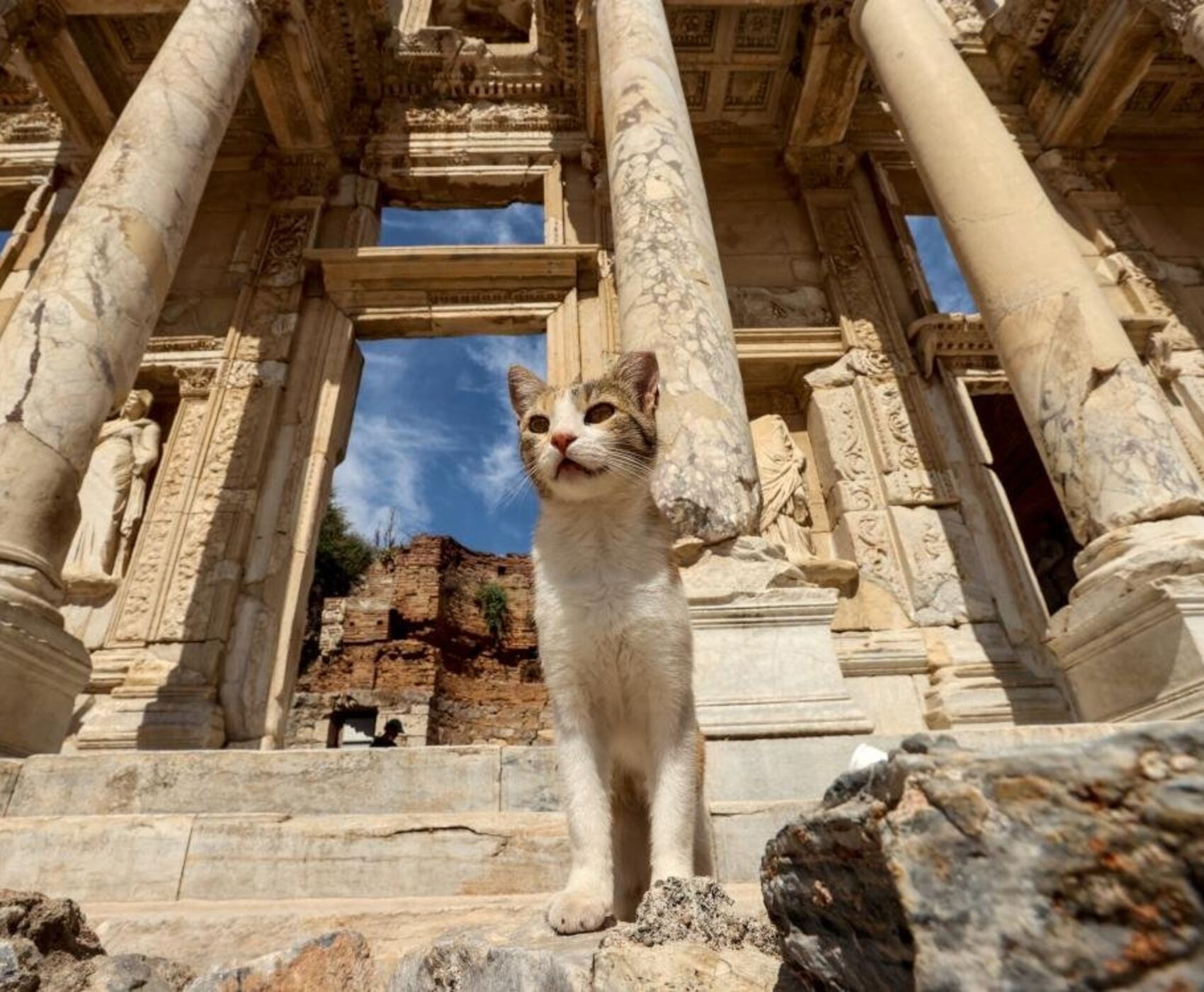 UÇAKLI BÜYÜK EGE İZMİR GÖKÇEADA BOZCAADA AYVALIK TURU
