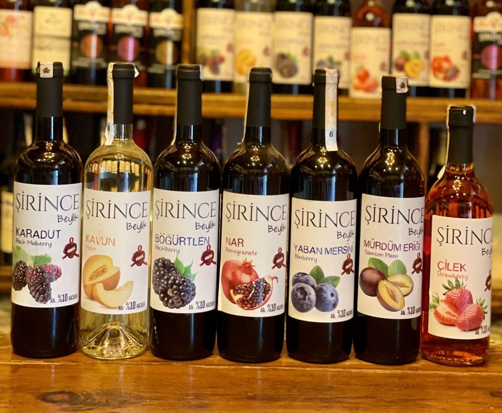 بدروم - دیدیم - کوش آداسی - ازمیر - آلاکاتی - چسمه - فوچا - شیرینجه