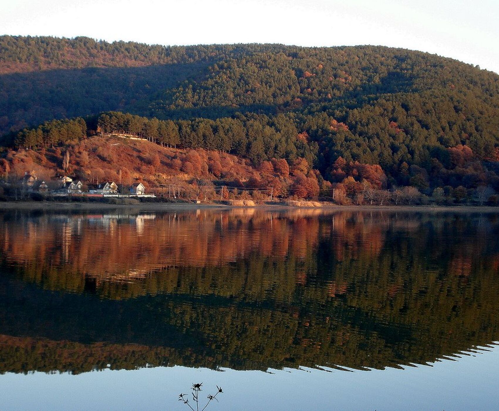BAYINDIR ÇİÇEK FESTİVALİ