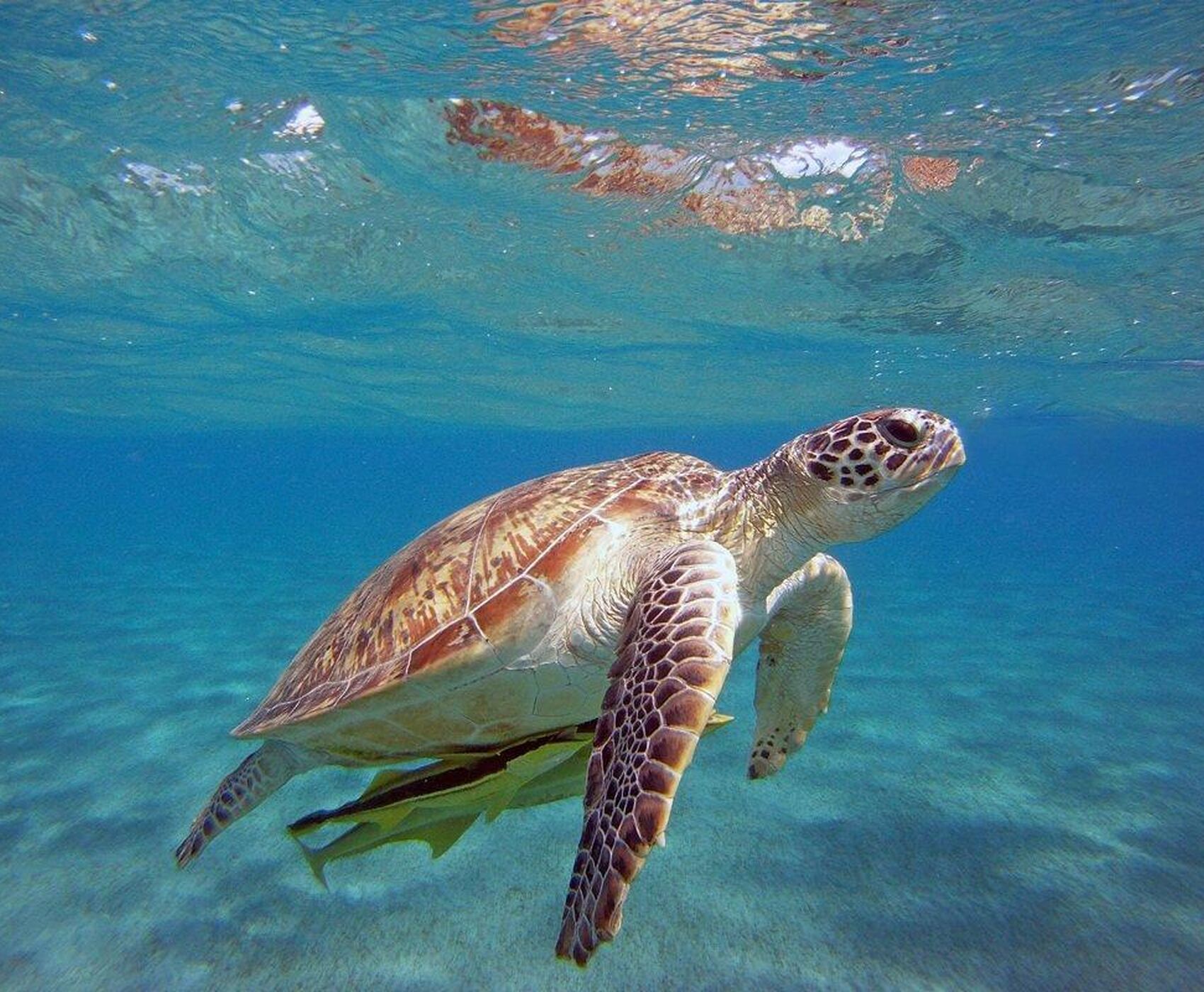 KUNDU ÇIKIŞLI DÜDEN ŞELALESİ  YAT TURU