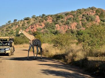 Dolu Dolu Güney Afrika Safari Turu Rotası V2