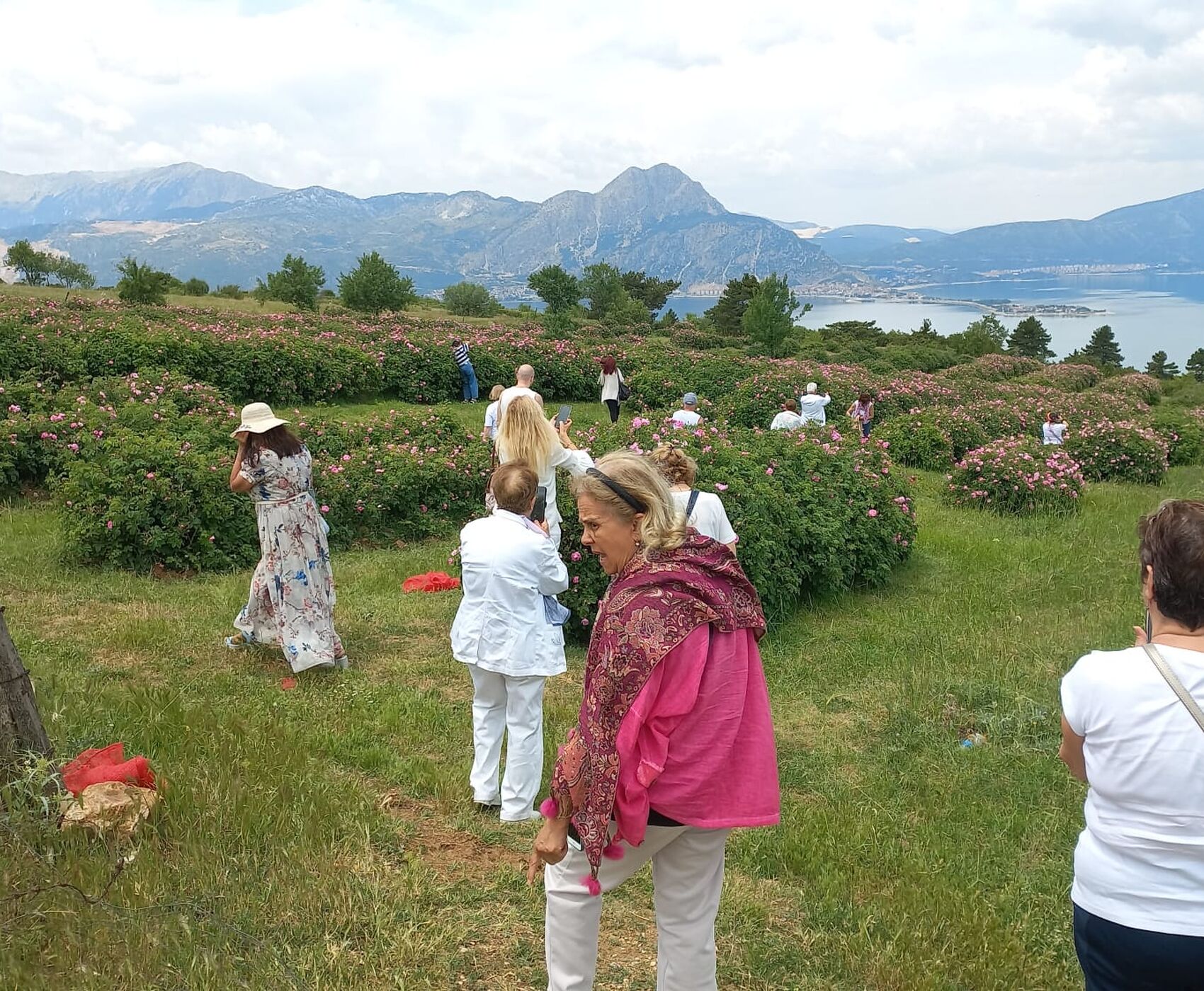 GÜL HASADI & EĞİRDİR GÖLÜ & BEYŞEHİR GÖLÜ &NİLÜFER ÇİÇEKLERİ &  LEYLEKLER VADİSİ