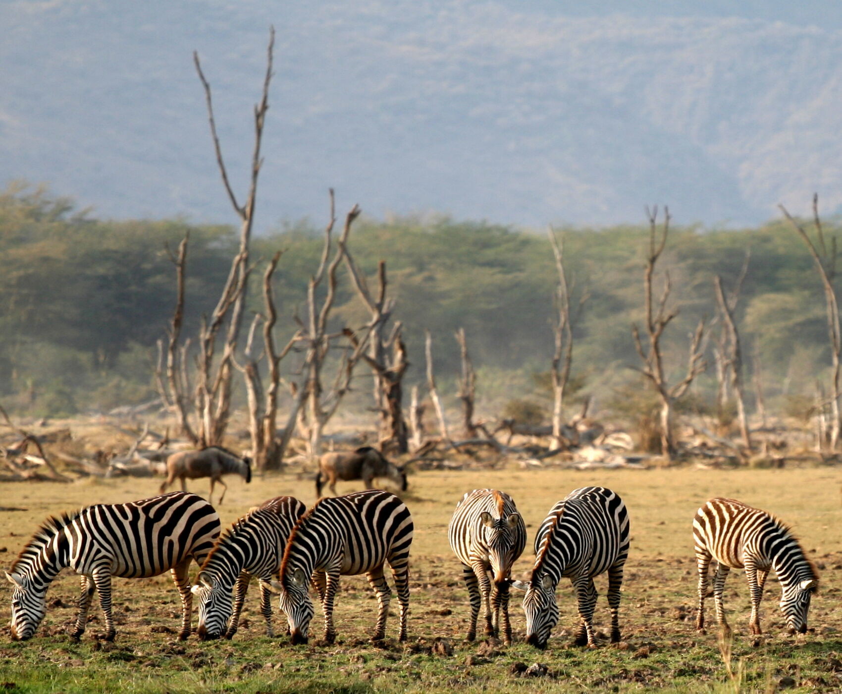ANTALYA DAN İSTANBUL AKTARMALI TANZANYA & ZANZİBAR
