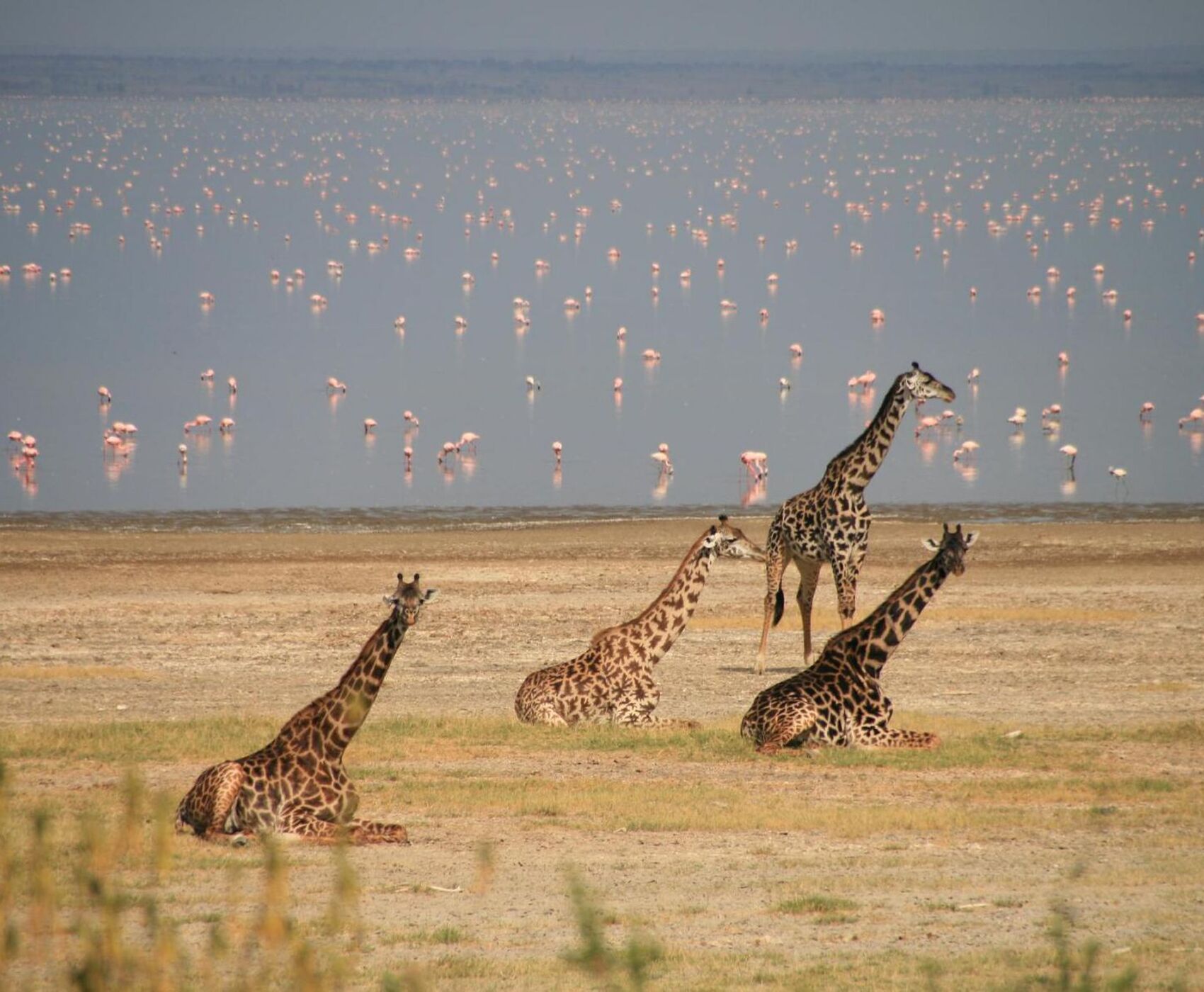 ANTALYA DAN İSTANBUL AKTARMALI TANZANYA & ZANZİBAR