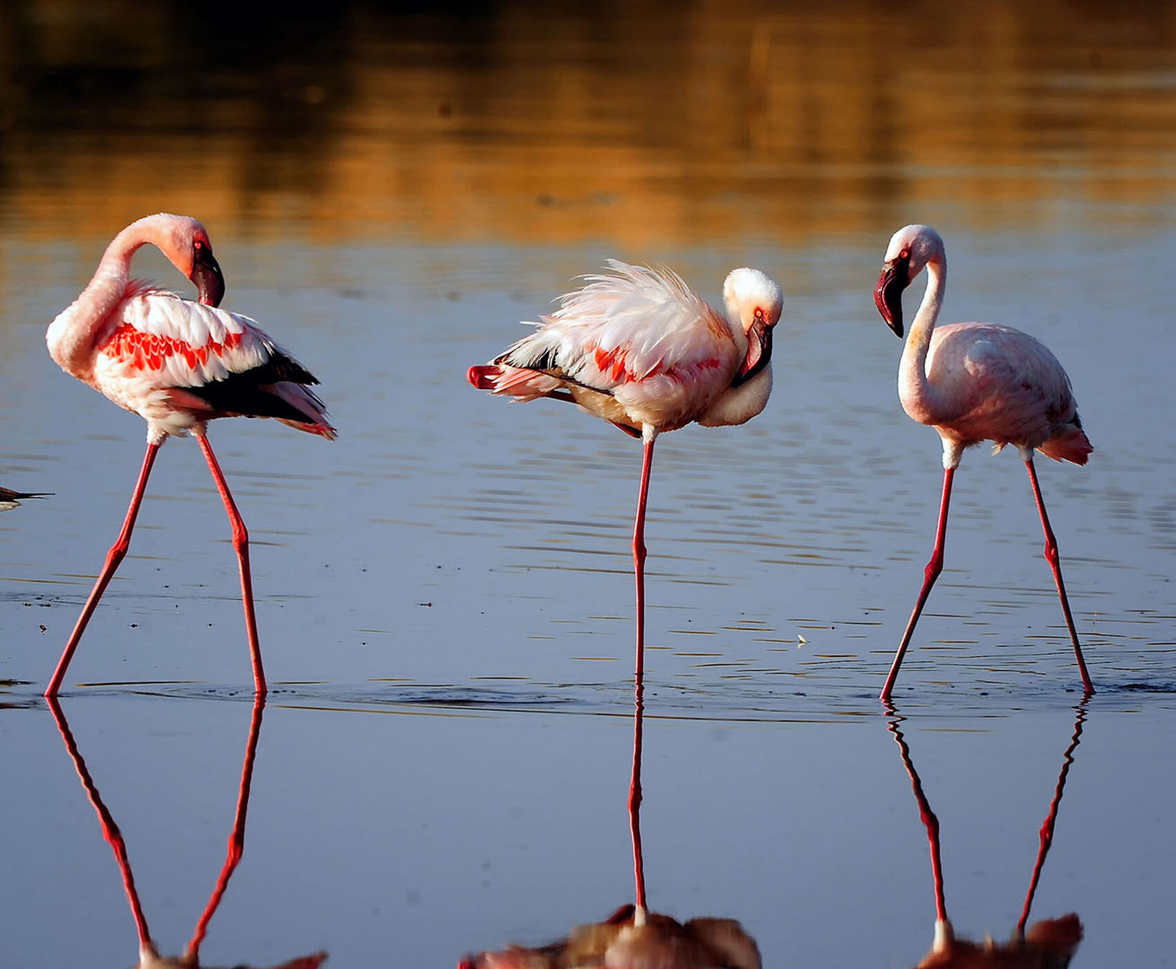 ANTALYA DAN İSTANBUL AKTARMALI TANZANYA & ZANZİBAR