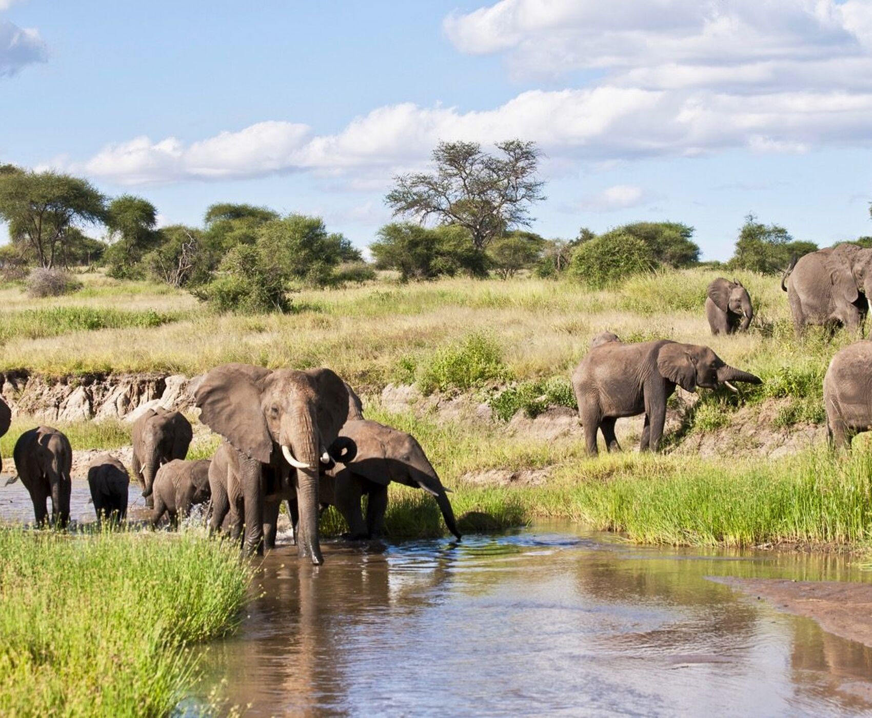 ANTALYA DAN İSTANBUL AKTARMALI TANZANYA & ZANZİBAR