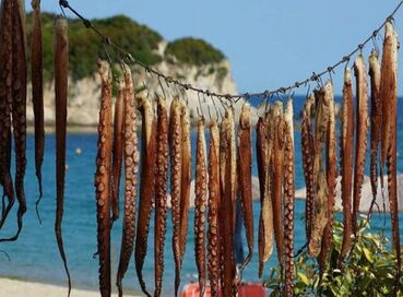 Halkidiki Paralia Thassos Adası Turu Eskişehir & Ankara & Bolu & Düzce & Sakarya & İzmit Hareketli