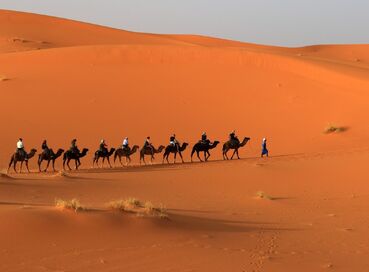 Fas Kraliyet Şehirleri Şafşavan Turu Dahil | 5 Gece | İstanbul Çıkış | AirArabia