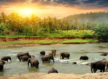 SRİ LANKA TK 2026 (CMB-CMB)