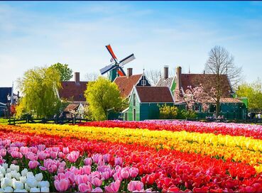 Görkemli Amsterdam: Renklerin Şehri - Ankara'dan Direkt Hareket - Ramazan Bayramı Özel