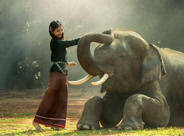 Görkemli Tropik Asya İkilisi: Vietnam & Kamboçya - Ramazan Bayramı Dönemi - THY ile