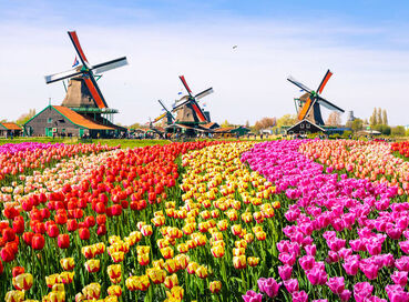 Ankara'dan Direkt Hareket Görkemli Üçlü Benelüx & Fransa & Almanya 7 Gece - SuxExpress ile 14 Şubat Hareket (Sevgililer Günü Özel) AT071