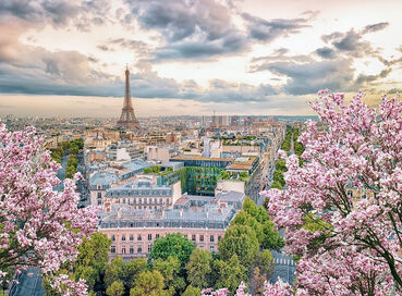 Görkemli Dörtlü Benelüx & Fransa & Almanya & İsviçre 7 Gece - THY ile (2026 Kış Dönemi) (DUS - BSL) AT081