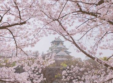 İzmir Çıkışlı Sakura Zamanında Japonya & Kore Turu Tüm Turlar Dahil