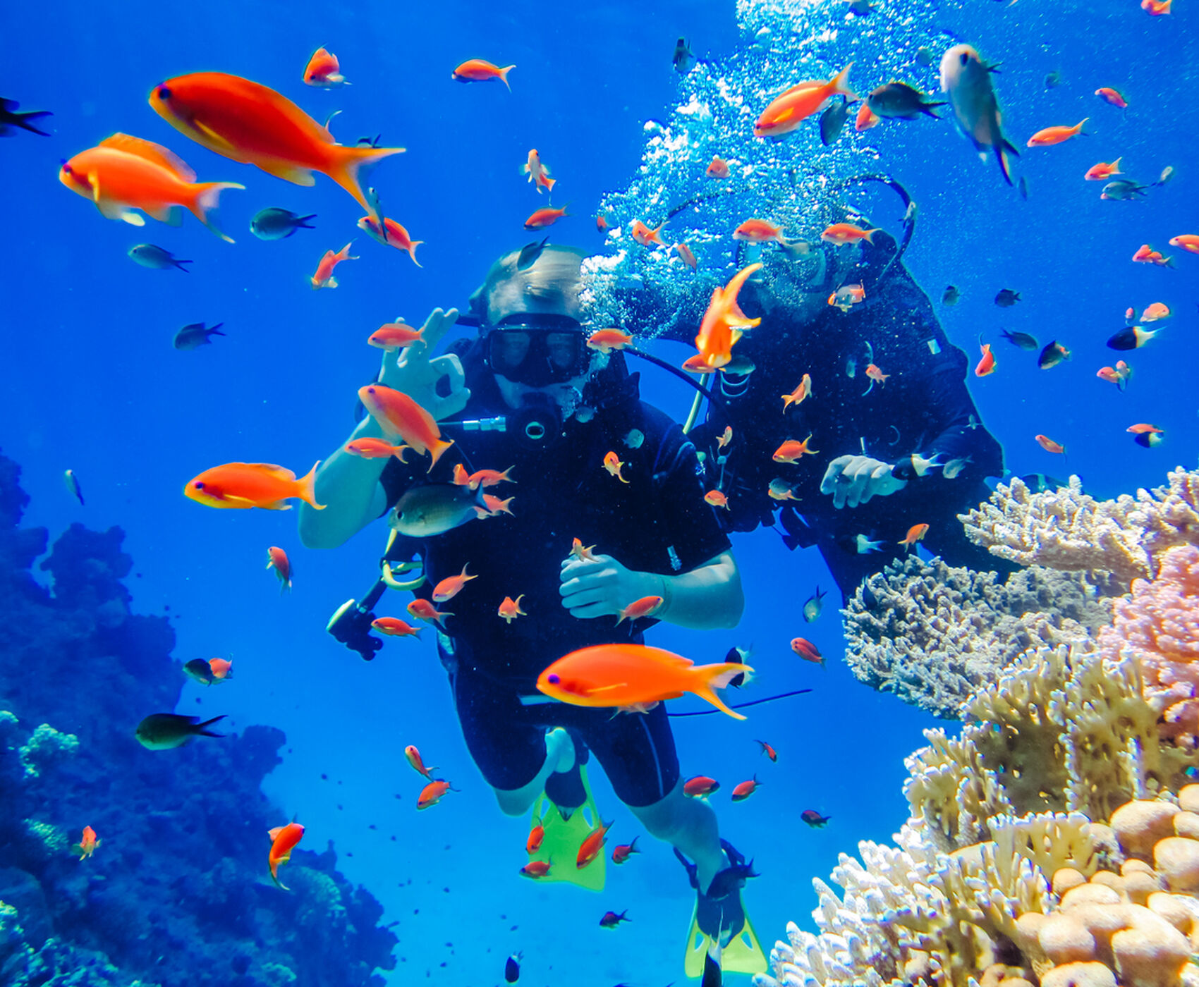 ANKARA ÇIKIŞLI NİL CRUİSE GEMİSİ İLE GİZEMLİ MISIR KAHİRE & PİRAMİTLER & ASWAN & LUXOR & TAPINAKLAR & HURGADA