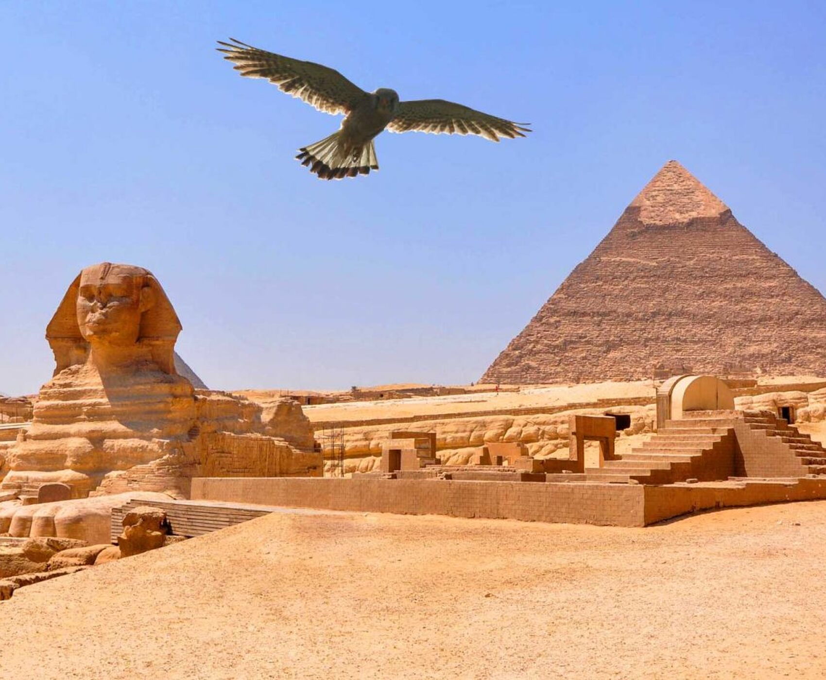 İZMİR ÇIKIŞLI HERŞEY DAHİL UÇAKLI BAŞTAN BAŞA MISIR HURGHADA LUXOR KAHİRE SHARM EL SHEİKH