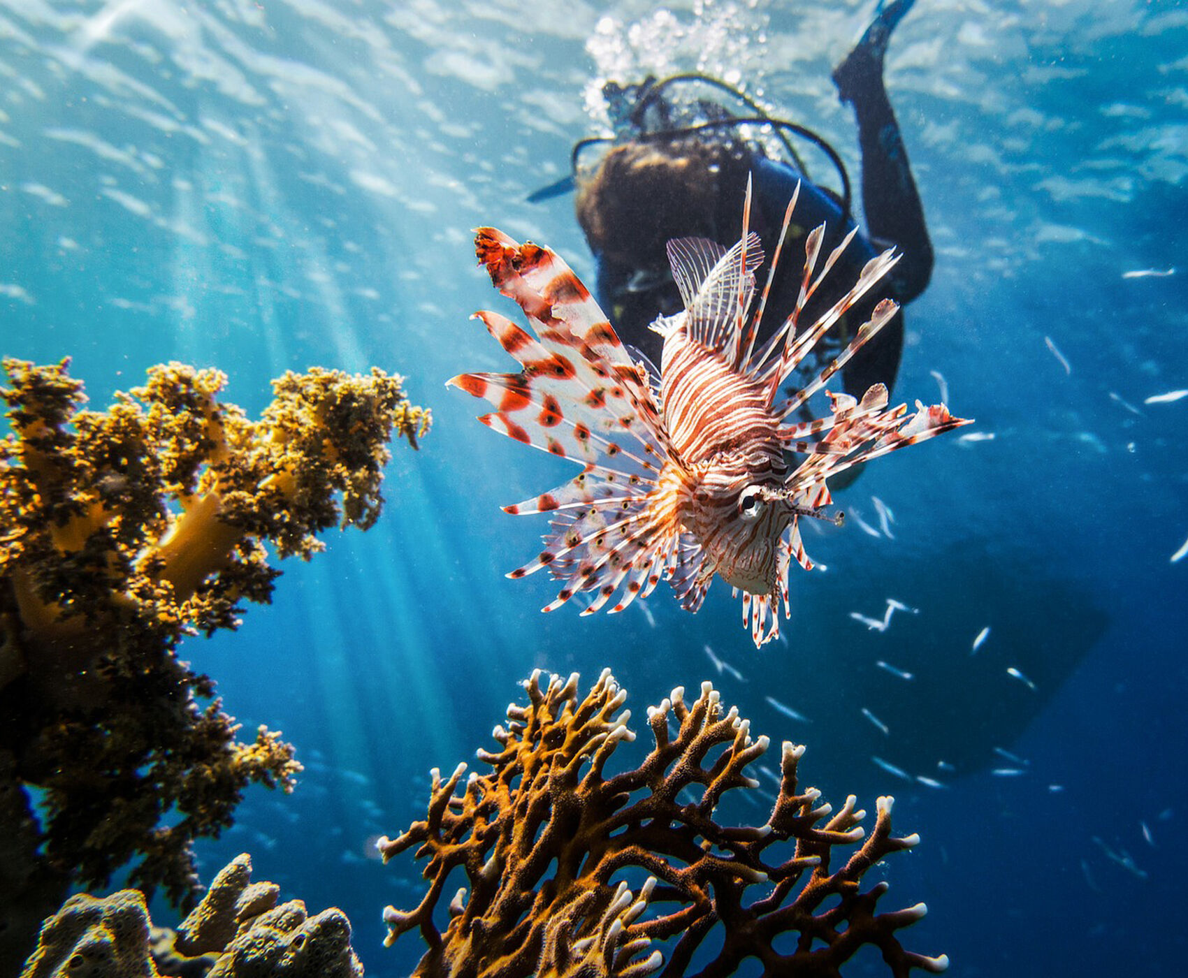 ANKARA ÇIKIŞLI HERŞEY DAHİL KAHİRE &PİRAMİTLER ( MISIR ) & PETRA ANTİK KENTİ (ÜRDÜN)