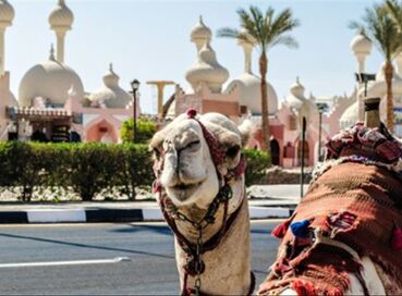 Freebırd Hava Yolları İle Kızıldeniz Rüyası; Prestij Sharm El Sheıkh (424)