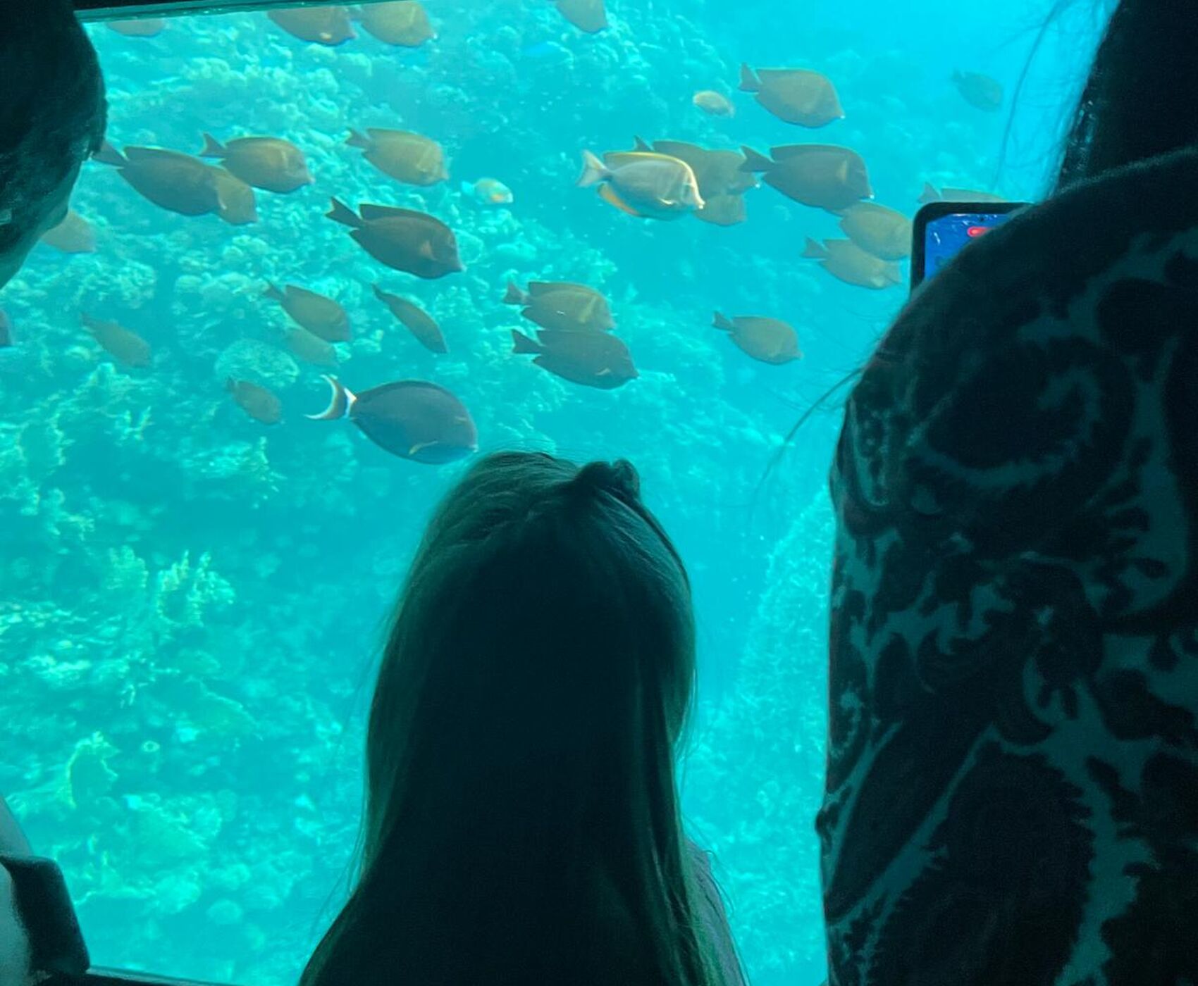 ANKARA ÇIKIŞLI HERŞEY DAHİL MISIR - KAHİRE & PİRAMİTLER & İSKENDERİYE & SHARM EL SHEİKH