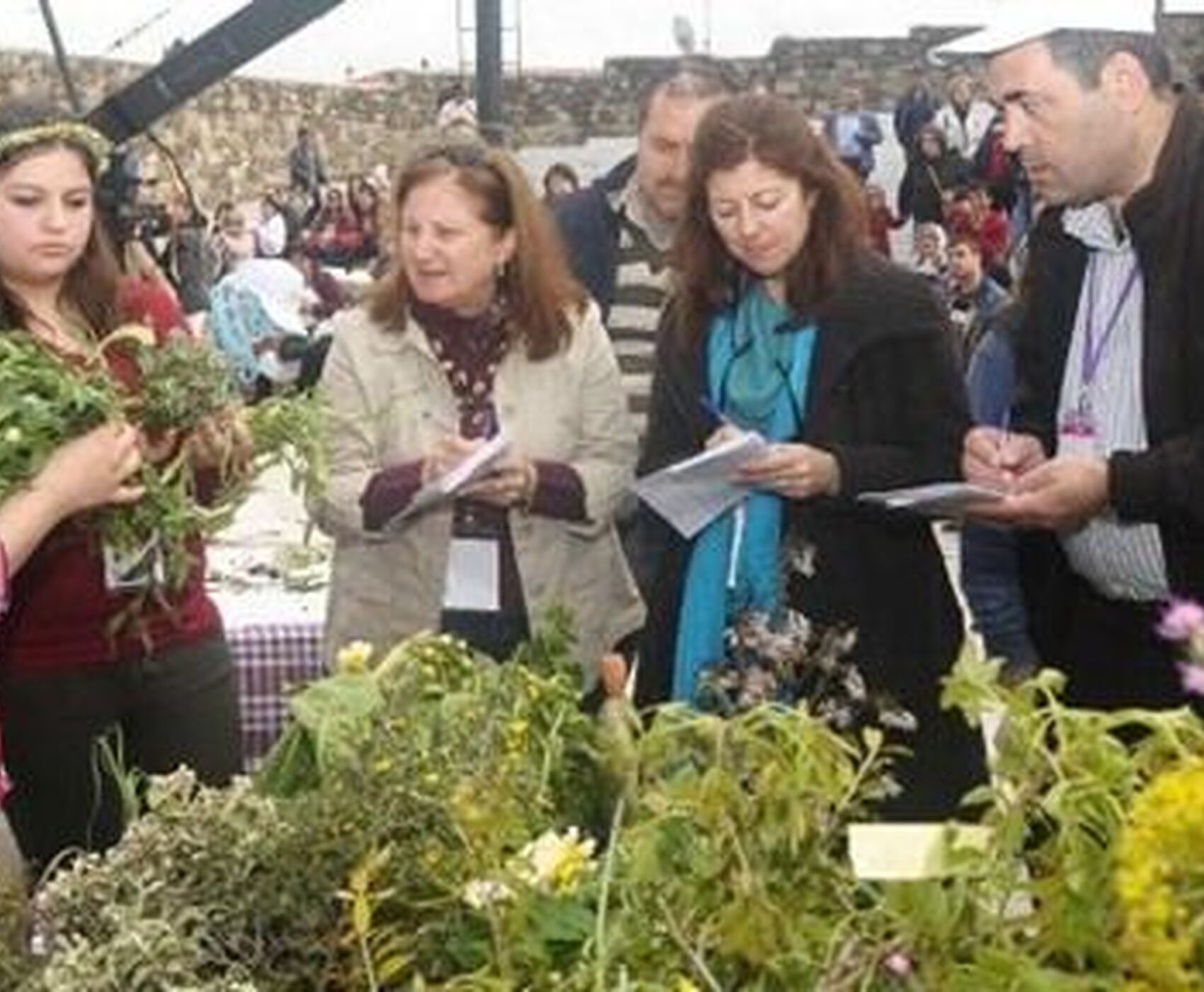 جشنواره گیاهی آلاچاتی 