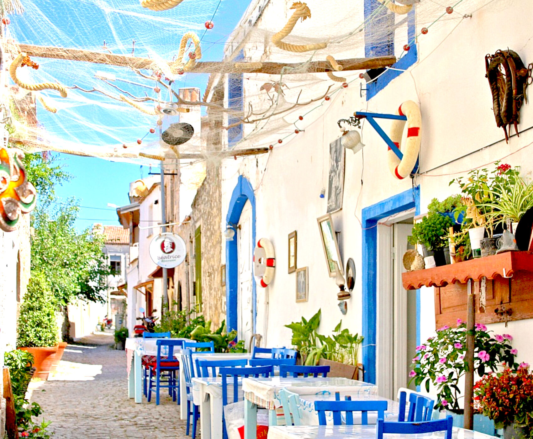 جشنواره گیاهی آلاچاتی 