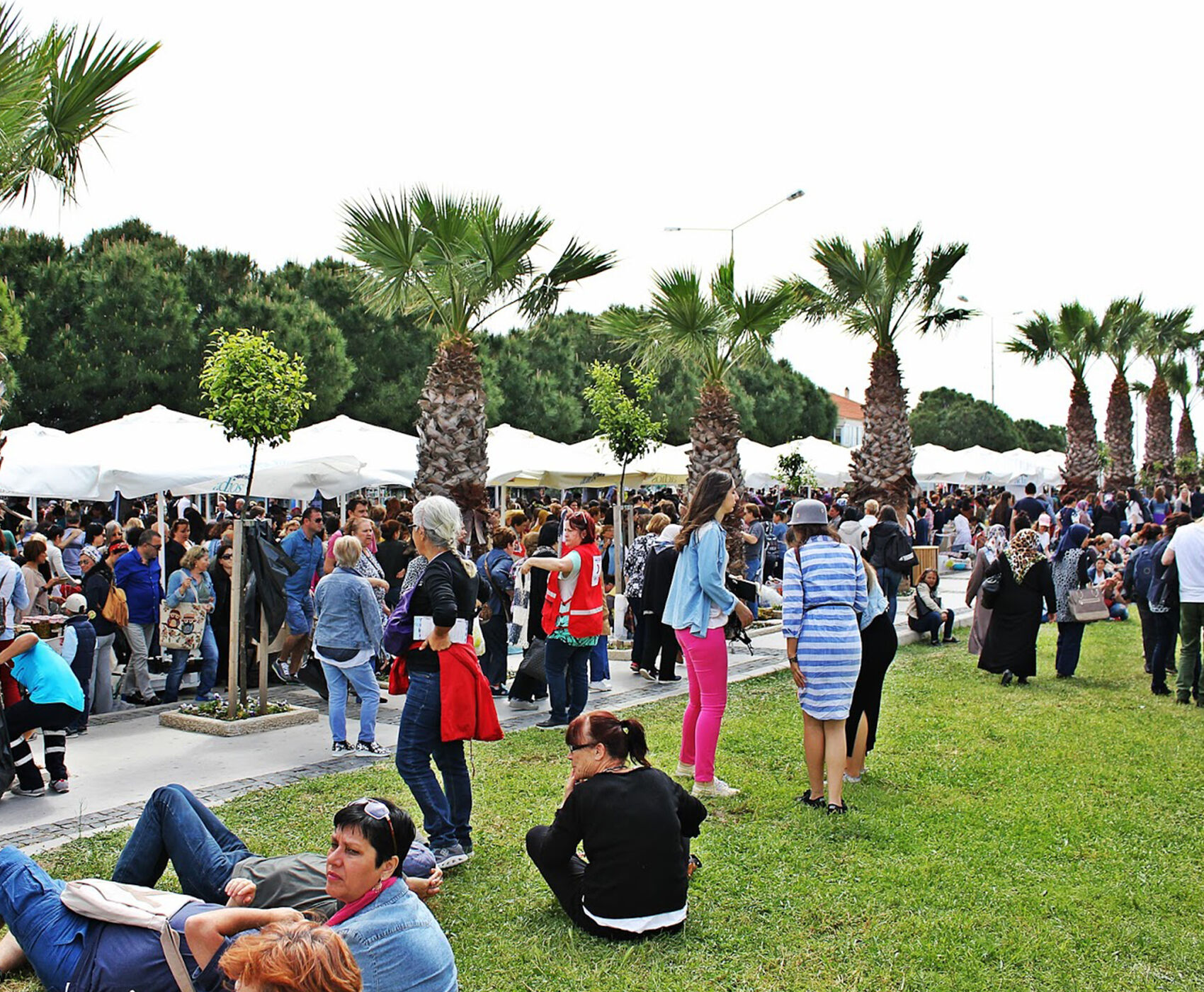 جشنواره گیاهی آلاچاتی 