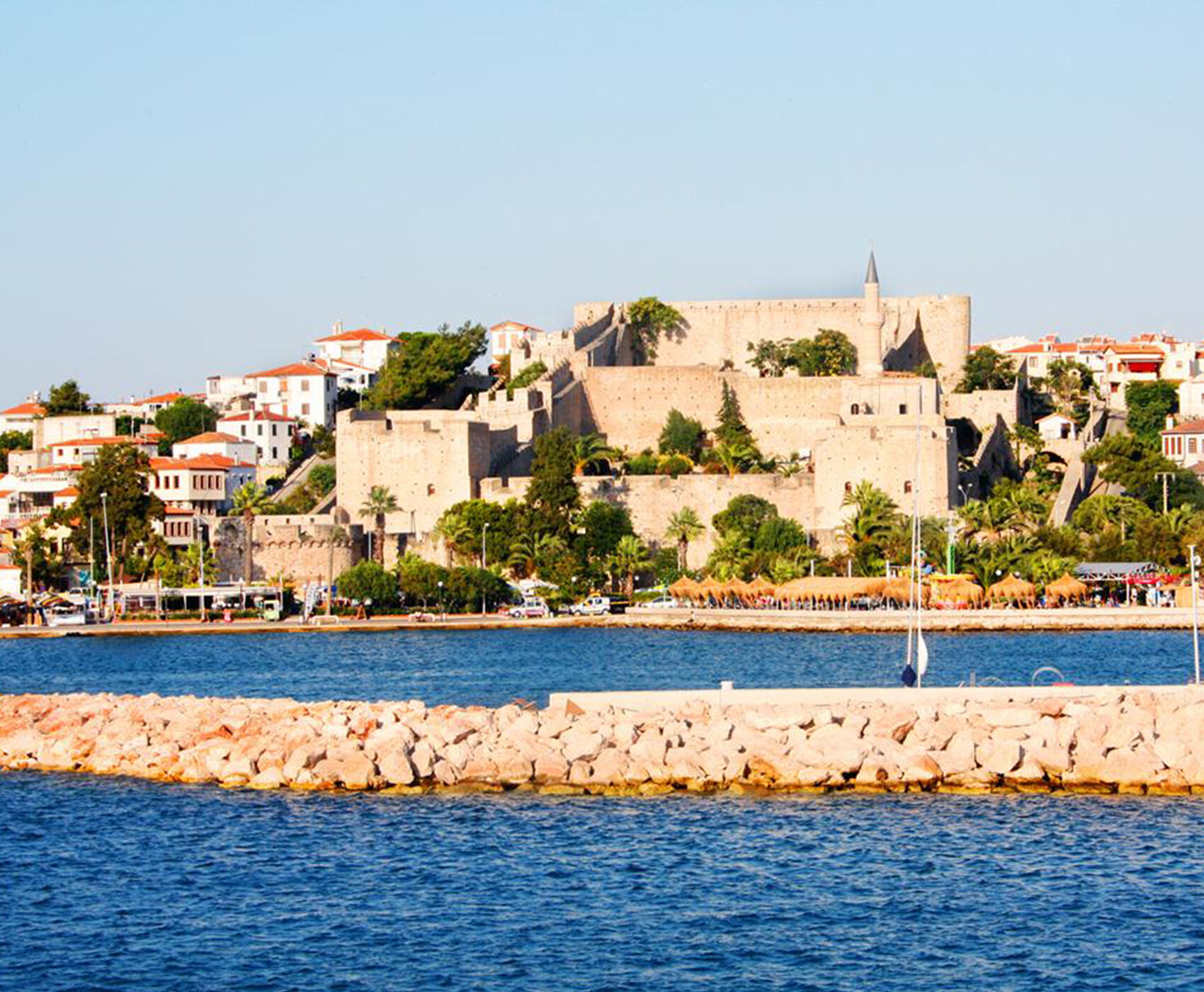 جشنواره گیاهی آلاچاتی 