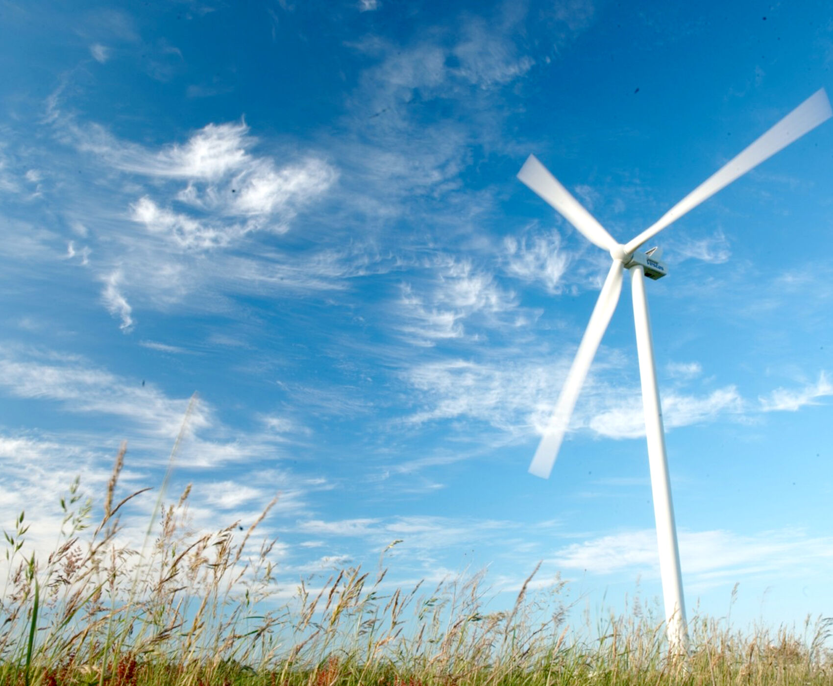 جشنواره گیاهی آلاچاتی 