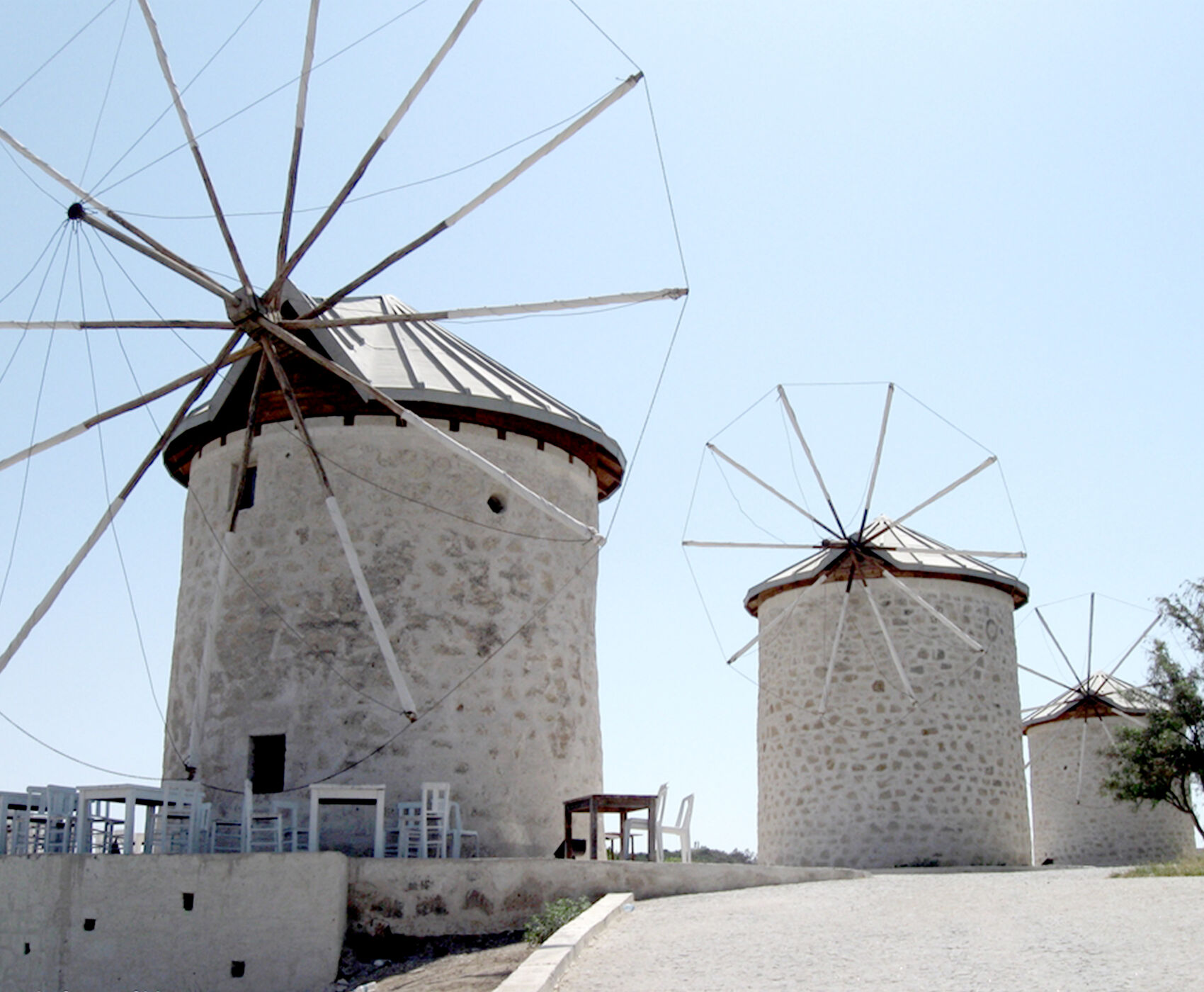 جشنواره گیاهی آلاچاتی 