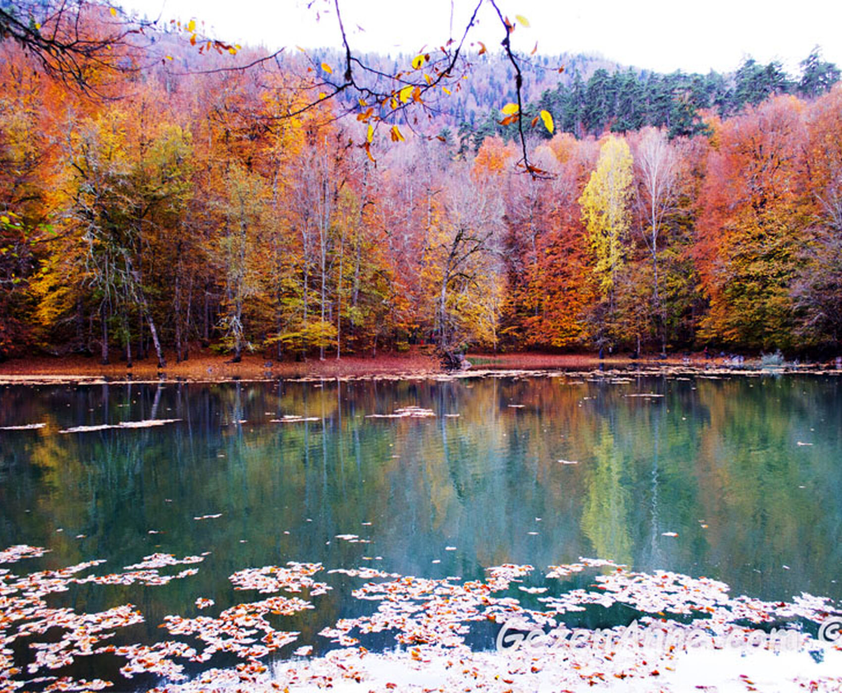 OTOBÜS İLE BUTİK BATI KARADENİZ TURU