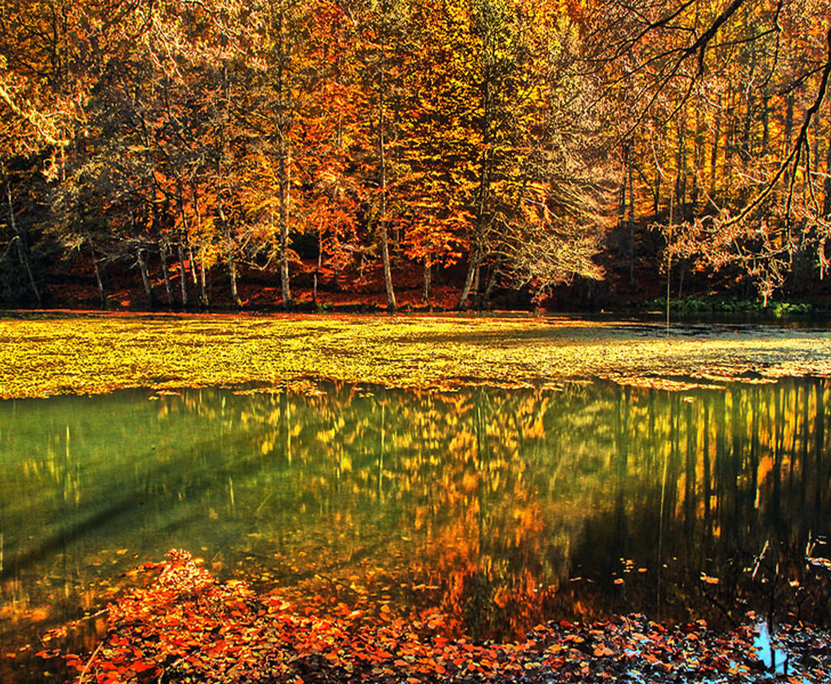 OTOBÜS İLE BUTİK BATI KARADENİZ TURU